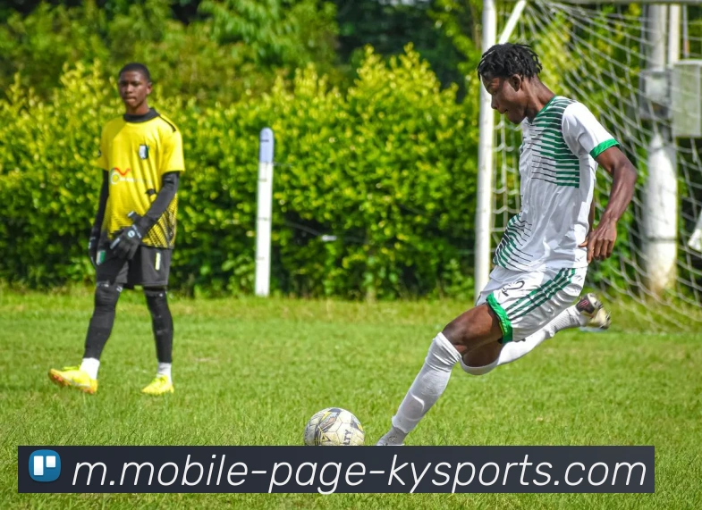 开云体育平台生态图