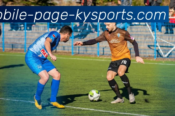 开云体育APP 封面图